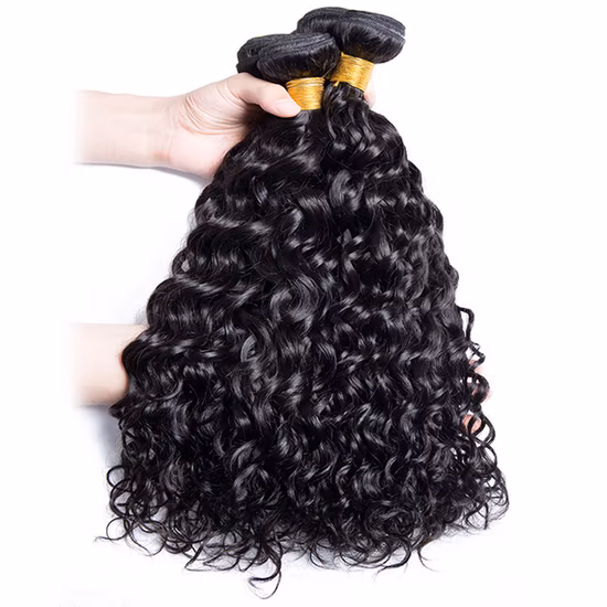 Top Quality Brazilian Water Wave Bundles Human Hair Weave for Women